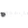 biologia_online-Photoroom